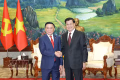 El miembro del Buró Político y miembro permanente del Secretariado del Comité Central del PCV, Tran Cam Tu (izquierda), se reúne con el secretario general del PPRL y presidente de Laos, Thongloun Sisoulith. (Foto: VNA)