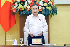 El presidente de la Asamblea Nacional de Vietnam, Tran Thanh Man, interviene en la cita (Foto: VNA)
