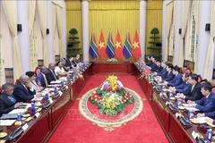 El presidente de Vietnam, Luong Cuong, sostiene conversaciones con su homólogo sudafricano, Matamela Cyril Ramaphosa (Foto: VNA)