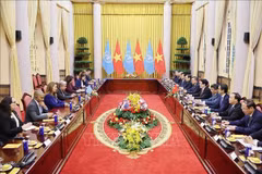 Panorama de la cita (Foto: VNA)