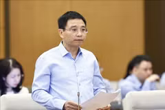 El ministro de Finanzas, Nguyen Van Thang, presenta el informe en la cita (Foto: VNA)