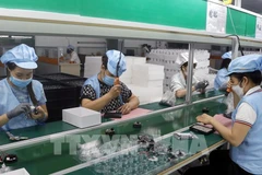 Vietnam es un destino atractivo para inversores extranjeros (Foto: VNA)