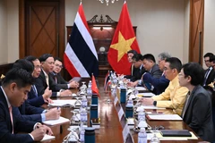 Panorama de la reunión (Foto: Ministerio de Relaciones Exteriores de Vietnam)
