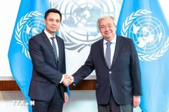 El embajador Dang Hoang Giang (izquierda), jefe de la misión permanente de Vietnam ante la ONU, se reúne con el secretario general de la institución multilateral, António Guterres (Foto: VNA)
