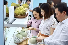 Todos los productos frutícolas exibidos en las ferias cuentan con códigos QR para su trazabilidad (Foto: VNA)