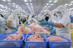 Procesamiento de pescado Tra para exportación en la empresa Caseamex, en el parque industrial Tra Noc (Can Tho) (Foto: VNA)