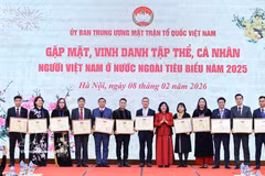 La presidenta del FPV, Bui Thi Minh Hoai, entrega los certificados de reconocimiento a los colectivos ejemplares (Foto: VNA)