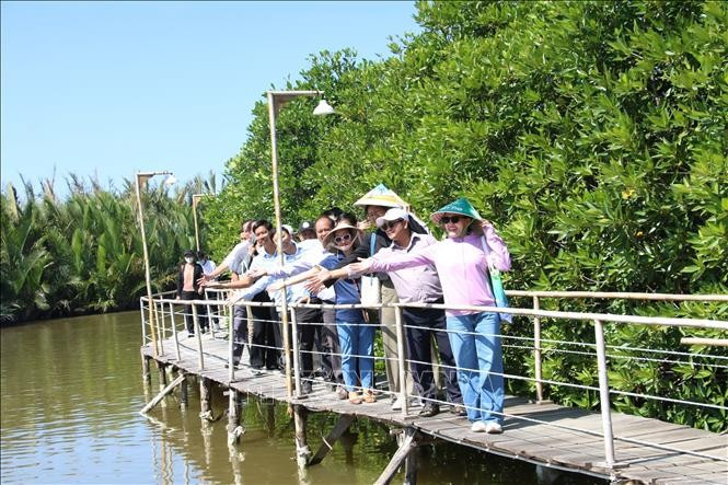Los turistas visitan y disfrutan de los manglares en las comunas costeras de la isla de An Hoa, provincia de Vinh Long. (Fuente: VNA)