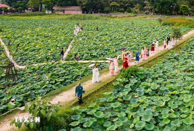 Loto en Ninh Binh. (Fuente: VNA)