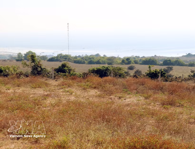 El punto central (aldea Vinh Truong, comuna Phuoc Dinh) para la construcción de la Central Nuclear Ninh Thuan 1. (Fuente: VNA)