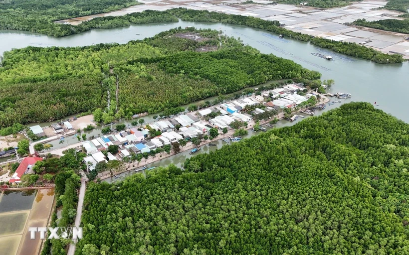 Zona residencial concentrada en medio del ecosistema de manglares de la isla de Thieng Lieng. (Fuente: VNA)