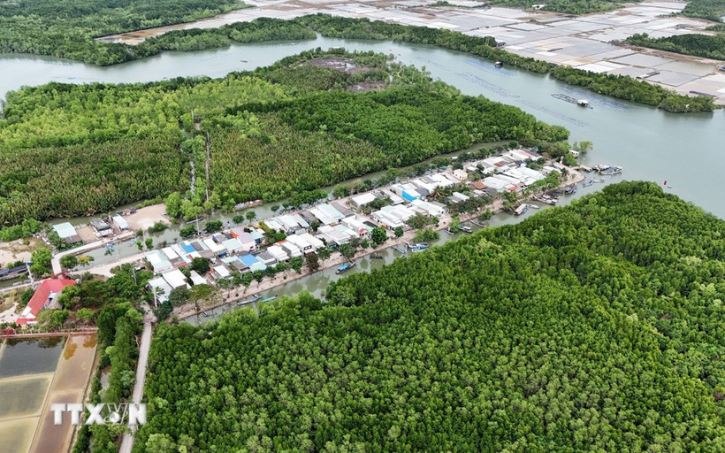 Zona residencial concentrada en medio del ecosistema de manglares de la isla de Thieng Lieng. (Fuente: VNA)