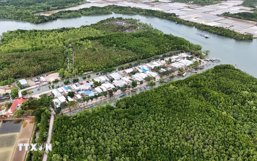 Zona residencial concentrada en medio del ecosistema de manglares de la isla de Thieng Lieng. (Fuente: VNA)