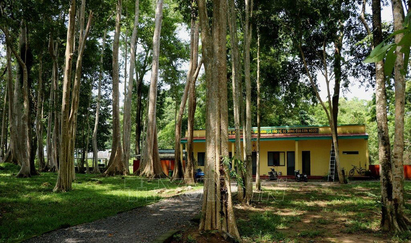 En el Parque Nacional Cat Tien. (Fuente: VNA)