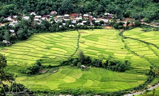 En la Reserva Natural de Pu Luong. (Fuente: vietnam.vnanet.vn)