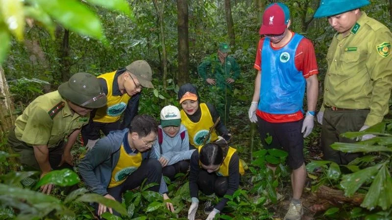 Gestionar y utilizar de forma sostenible los recursos naturales, proteger el medio ambiente y la biodiversidad para fomentar un turismo duradero son objetivos clave de la Estrategia de Desarrollo Turístico de Vietnam hasta 2030. (Fuente: nhandan.vn)