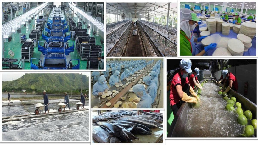 El sector económico privado es el motor más importante de la economía nacional. (Fuente: VNA)