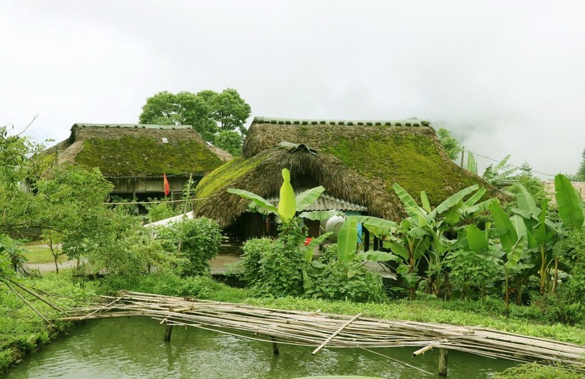 Casas con techos verdes cubiertos de musgo en las montañas y bosques de la comuna fronteriza de Thanh Thuy. (Fuente: VNA)