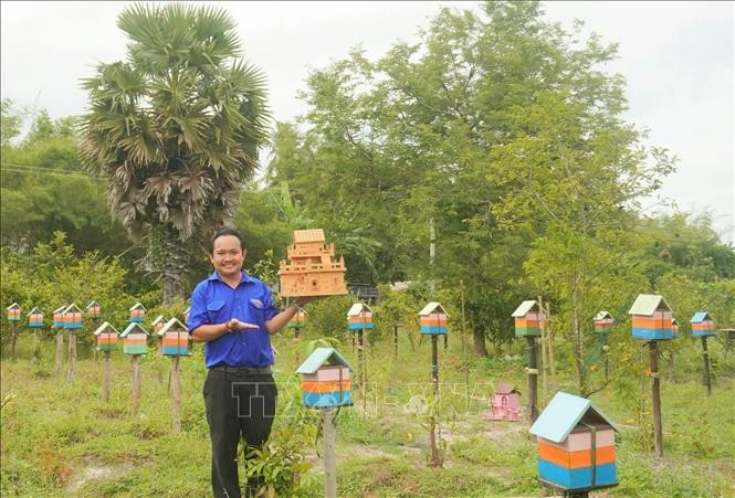 Trung Thanh ha desarrollado con éxito un modelo de cría de abejas sin aguijón en armonía con la naturaleza. (Fuente: VNA)