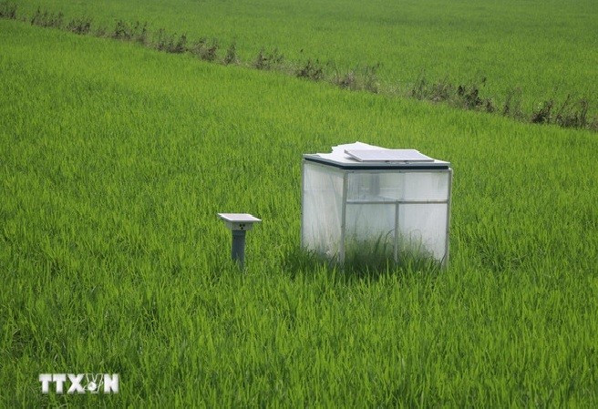 Sistema de medición de reducción de emisiones en arrozales.. (Fuente: VNA)