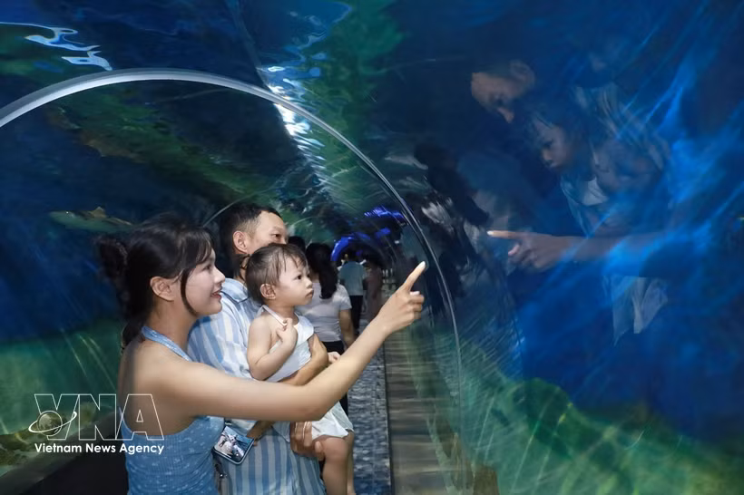 En el Museo del Instituto Oceanográfico de Nha Trang. (Fuente: VNA)