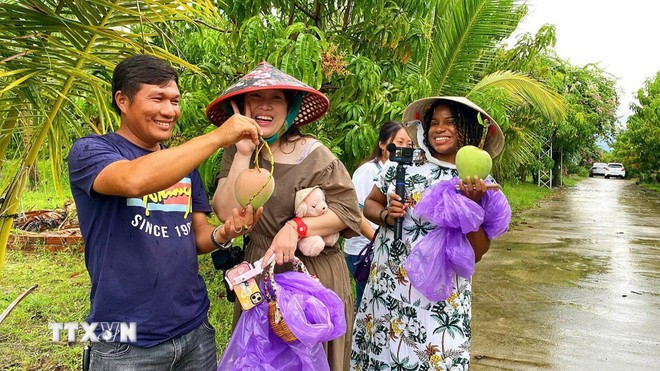 Turistas disfrutan de la experiencia de recoger mangos en los huertos de la comuna de Cam Lam, en Khanh Hoa. (Fuente: VNA)