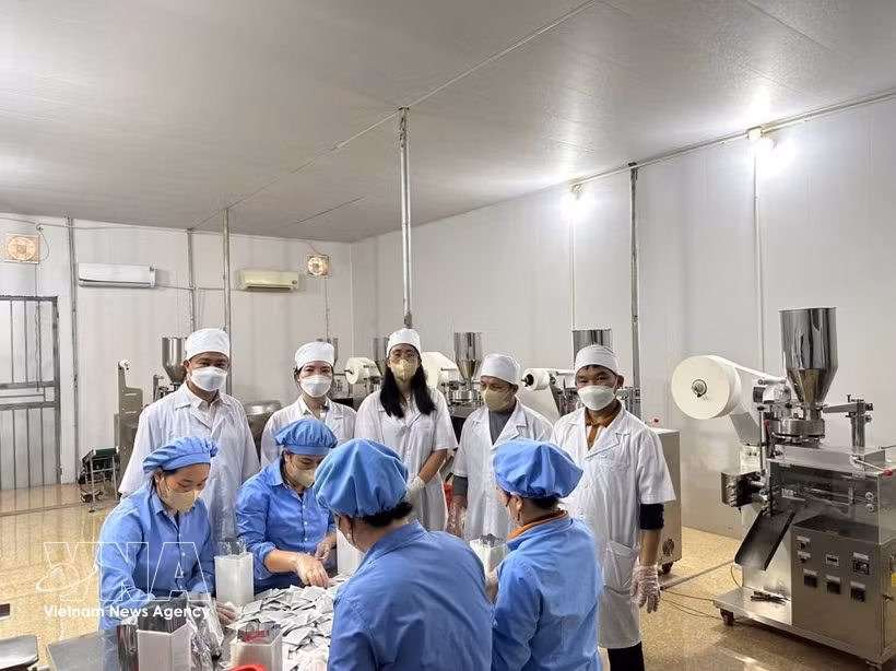 En una empresa de producción de medicamentos en la provincia de Nghe An. (Fuente: VNA)