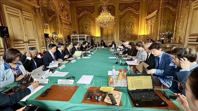 Panorama de la sesión. (Foto: VNA)