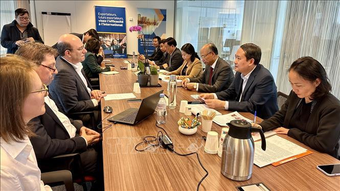 En la reunión. (Foto: VNA)