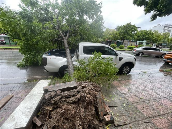 Consecuencia de la tormenta (Foto: VNA)