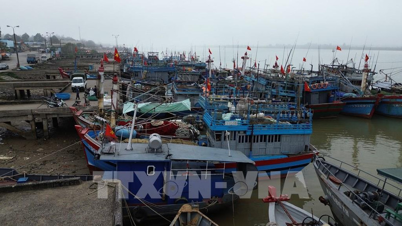 Foto de ilustración. (Fuente: VNA)