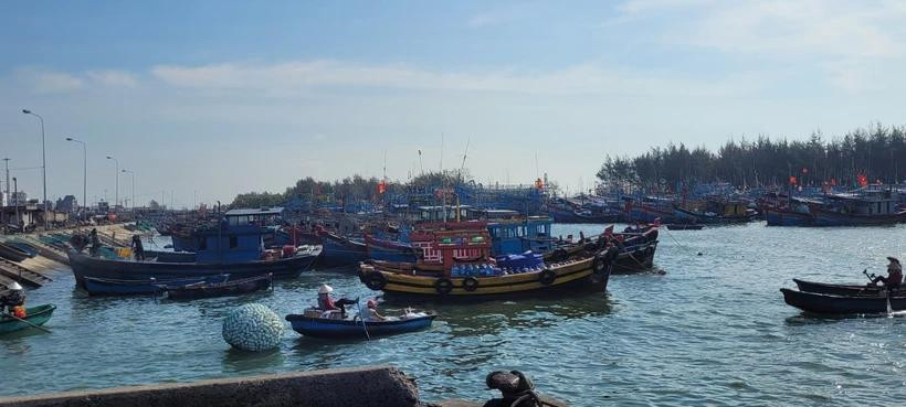 Ba Ria-Vung Tau intensifica esfuerzos para combatir pesca ilegal (Fuente: VNA)