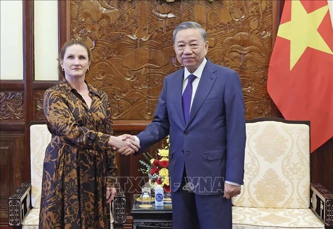 El presidente de Vietnam, To Lam, recibe a la embajadora neozelandesa en el país, Caroline Beresford. (Foto: VNA)
