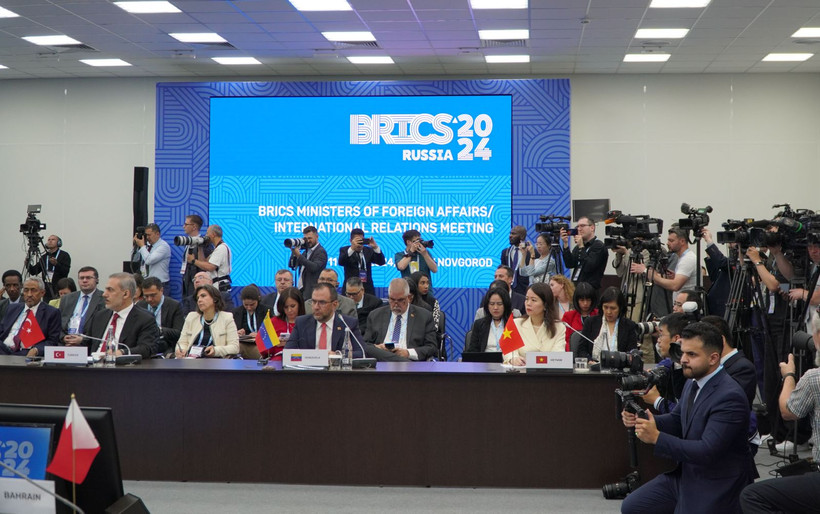 La vicecanciller vietnamita Nguyen Minh Hang asiste al Diálogo BRICS con países en desarrollo en Rusia. (Fuente: VNA)