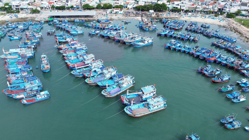 Barcos pesqueros en la provincia de Ninh Thuan. (Fuente: VNA)