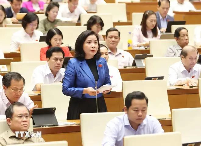 La diputada Nguyen Thi Thu Nguyet, de la delegación parlamentaria de la provincia de Dak Lak. (Fuente: VNA) hop-quoc-hoi-1-7709.jpg.webp