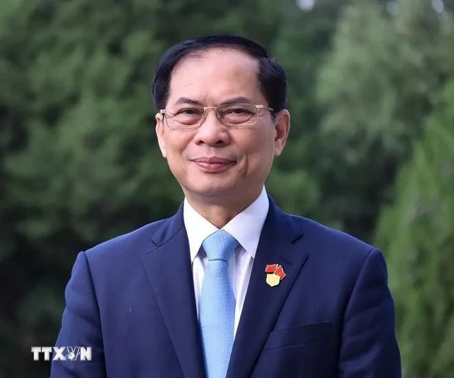 El vicepremier y canciller, Bui Thanh Son. (Fuente: VNA) son-8308.jpg.webp