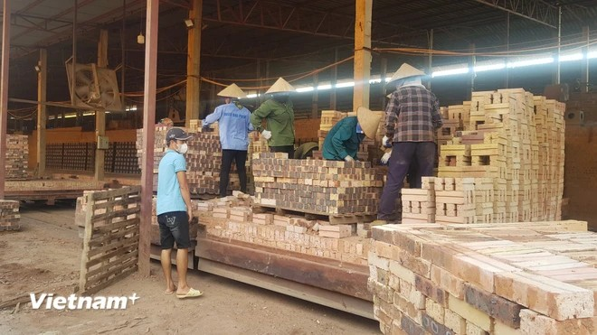Según una encuesta de VCCI, sólo el 30% de las cooperativas conocen esta política. (Foto: Vietnam+) qhn2d6mp.png