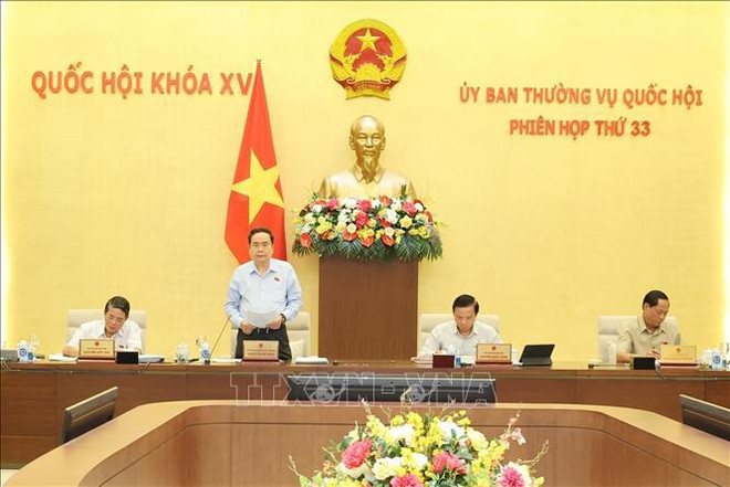 El vicepresidente permanente de la Asamblea Nacional, Tran Thanh Man (de pie), interviene en la 33ª sesión del Comité Permanente de la Asamblea Nacional. (Foto: VNA) tran-thanh-man.jpg
