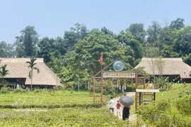 El espacio del pueblo Muong, ubicado en el complejo del “Aldea de Cultura y Turismo de las Etnias de Vietnam”, se ha convertido en uno de los más apreciados por visitantes y turistas. (Foto: VNA)