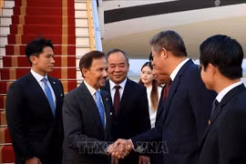 El Sultán de Brunéi Darussalam, Haji Hassanal Bolkiah, llega a Hanoi. (Foto: VNA)