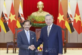El secretario general del Partido Comunista de Vietnam, To Lam, recibe al Sultán de Brunéi Darussalam, Haji Hassanal Bolkiah. (Foto: VNA)