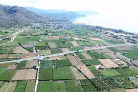 El proyecto de la planta de energía nuclear Ninh Thuan 2 se construirá en la aldea de Thai An, comuna de Vinh Hai, distrito de Ninh Hai. (Foto: VNA)