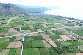 El proyecto de la planta de energía nuclear Ninh Thuan 2 se construirá en la aldea de Thai An, comuna de Vinh Hai, distrito de Ninh Hai. (Foto: VNA)