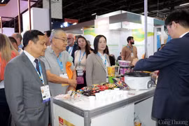 Los productos agrícolas, pesqueros y alimentos procesados de Vietnam continúan siendo el centro de interés para las empresas brasileñas. (Foto: congthuong.vn)