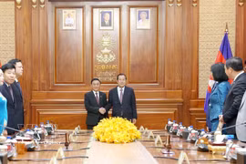El miembro del Buró Político e integrante permanente del Secretariado del Comité Central del Partido Comunista de Vietnam (PCV), Tran Cam Tu, se reúne con el jefe de Estado interino, presidente del Partido Popular de Camboya y titular del Senado, Hun Sen. (Foto: VNA)