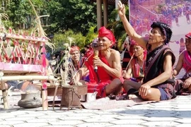 Recrean un rito en el Festival del Arroz Nuevo. (Foto: periódico Thua Thien-Hue)