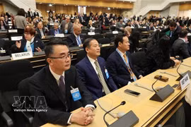 Vietnam propondrá iniciativas en sesiones del Consejo de Derechos Humanos de ONU. (Foto: VNA)