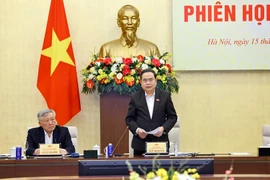 El presidente de la Asamblea Nacional de Vietnam, Tran Thanh Man, habla en la reunión (Foto: VNA)