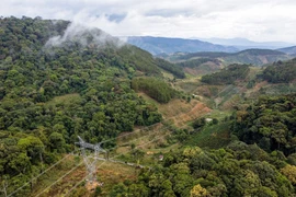 Operan con seguridad la red de transmisión eléctrica en la región Central y Altiplanicie Occidental